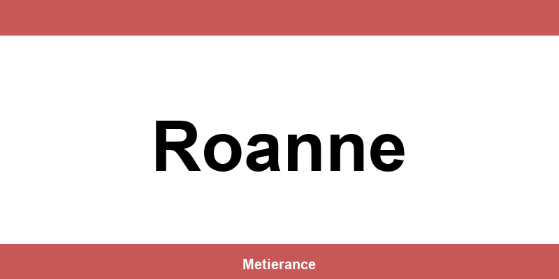 CMA Formation Roanne: téléphone