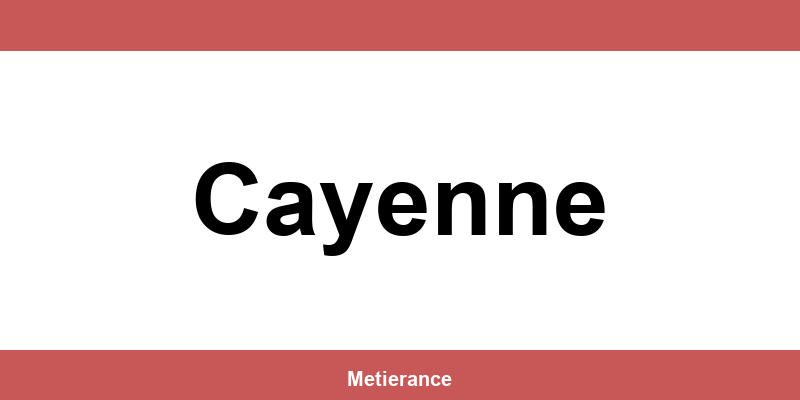 CMA Formation Cayenne: téléphone